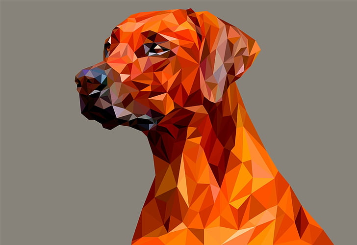 HD wallpaper: Abstract, Facets, Artistic, Digital Art, Dog, Low Poly,  Polygon | Wallpaper Flare