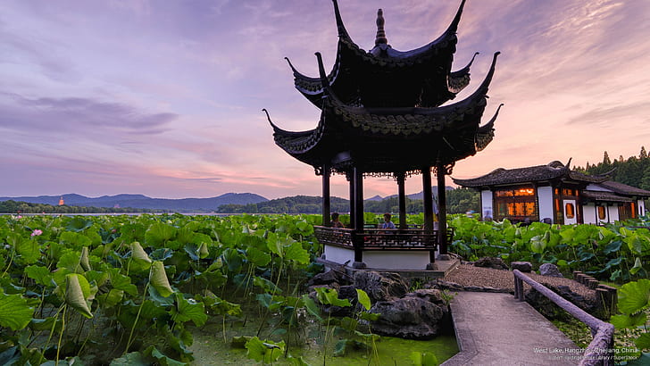 West Lake, Hangzhou, Zhejiang, China, Asia, HD wallpaper