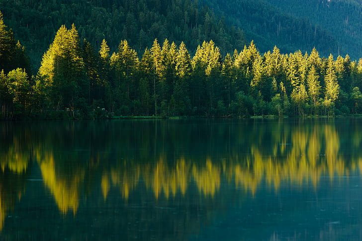 body of water near trees, Berchtesgadener Land, Hintersee, Bayern, HD wallpaper