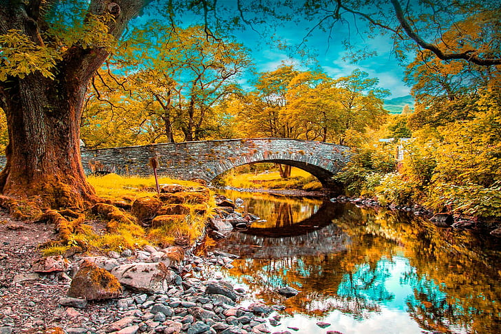 nature, landscape, bridge, trees, river, HD wallpaper