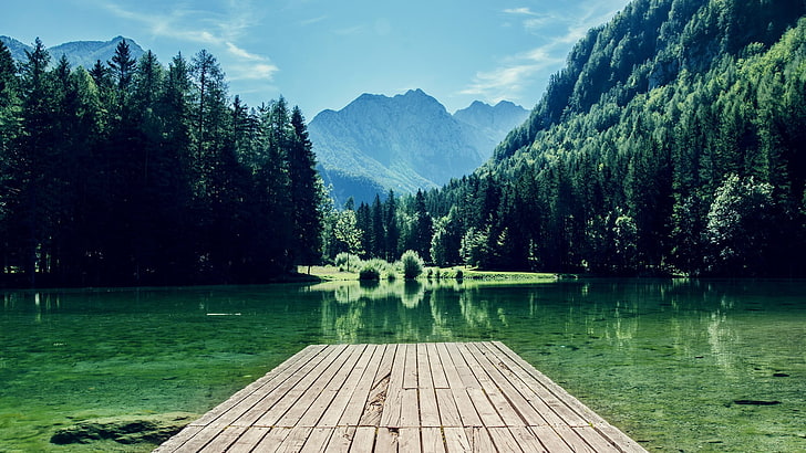 brown wooden dock, nature, forest, lake, mountains, tree, water