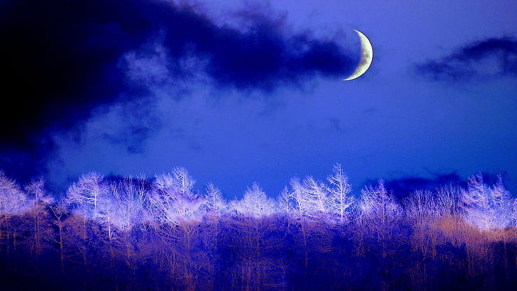 crescent, moon, sky, blue, winter night, forest, moonlight