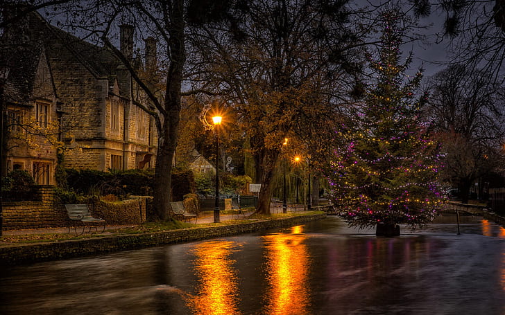 Houses, trees, lights, river, New Year, Christmas, HD wallpaper
