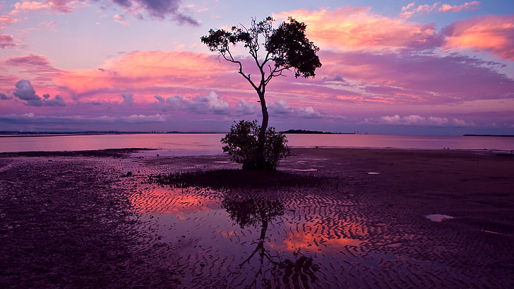 landscape, nature, sunset, reflection, trees, water, sand, sky