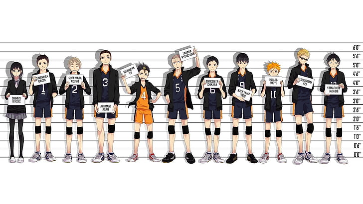 anime characters posing for mug shot digital wallpaper, Haikyuu