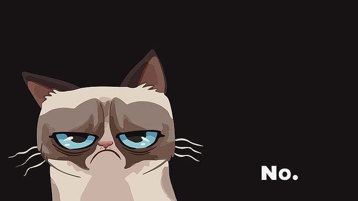 Grumpy cat 1080P, 2K, 4K, 5K HD wallpapers free download | Wallpaper Flare