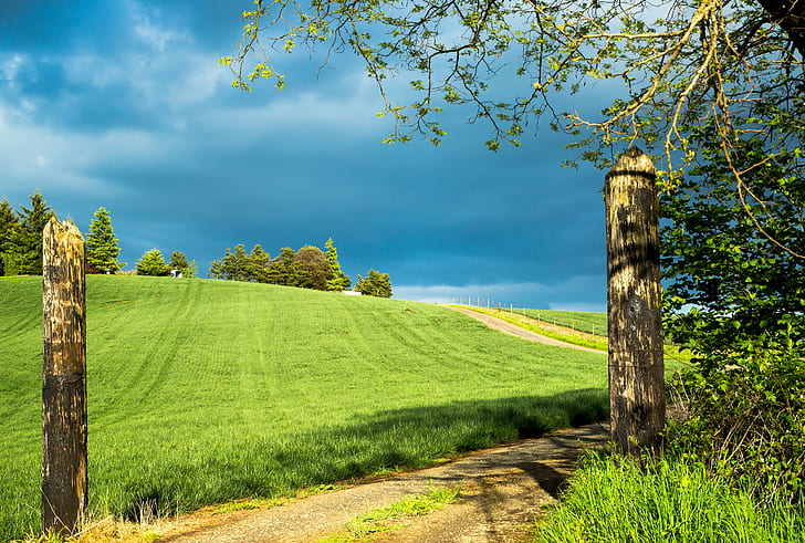 green grass field, Take Me Home, Oregon, Salem, area, Scenery, HD wallpaper