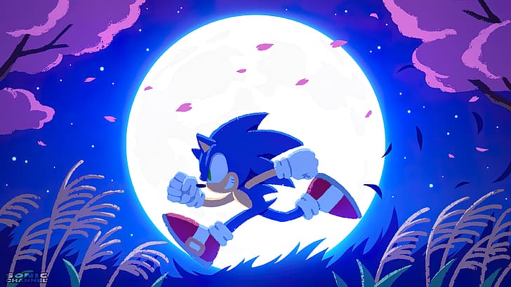 Sonic, Sonic the Hedgehog, Anthro, video game art, video game characters, HD wallpaper