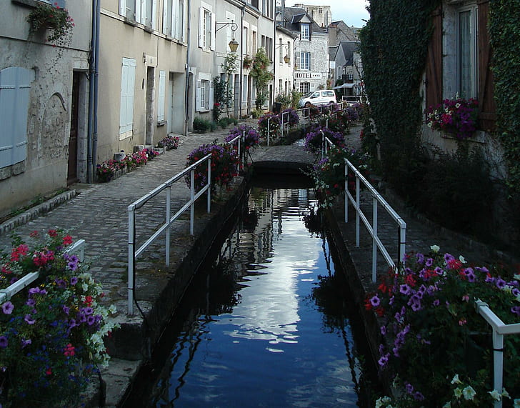 A Thing Of Beauty, france, beaugency, loire valley, flowers, europe