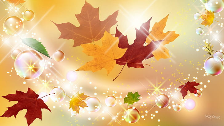 Shine On Autumn, brown, yellow and red autumn leaves illustration