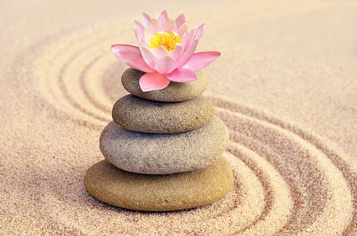 sand, flower, stones, Lotus, pink, Spa, zen