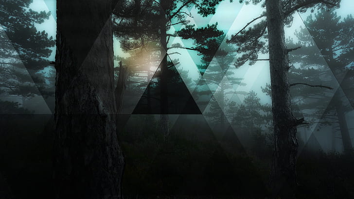 polyscape, forest, digital art, trees, dark, triangle