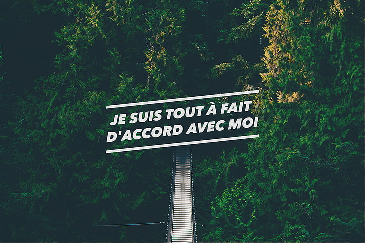 forest, green, quote, confidence, bridge, landscape, French, HD wallpaper