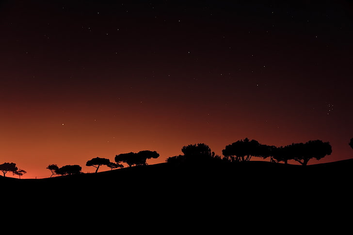 night, silhouette, trees, minimalism, stars, sky, scenics - nature, HD wallpaper