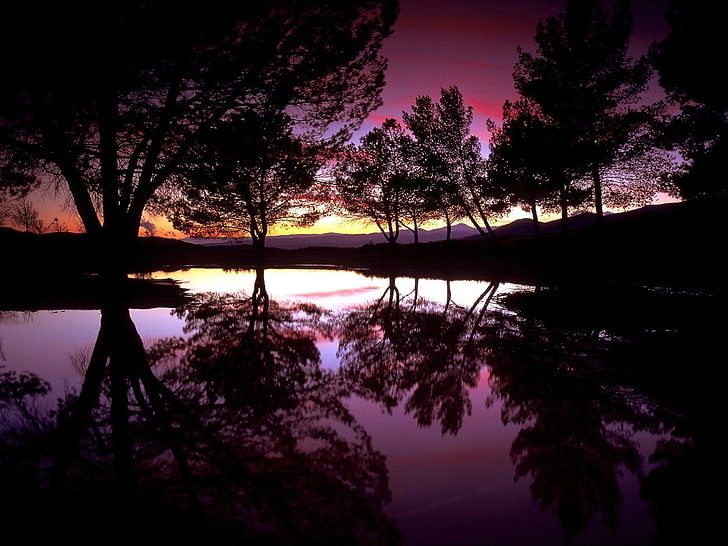 Santa clarita, California, Trees, Lake, Reflexion, water, reflection