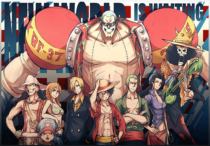 Brook, Franky, Monkey D. Luffy, Nami, Nico Robin, One Piece, HD wallpaper