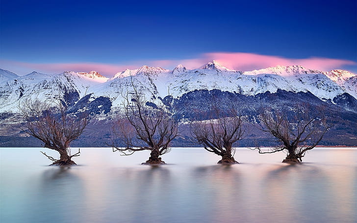 Lake Wakatipu, Queenstown, New Zealand, Southern Alps, trees, HD wallpaper