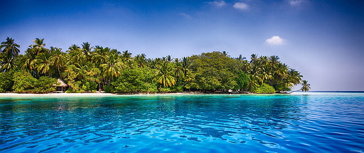 Maldives, tropical, beach, palm trees, sea, sand, water, summer
