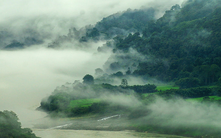 green leafed trees, nature, mist, landscape, river, mountains
