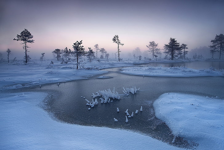 mist, winter, river, snow, frost, nature, calm, Estonia, cold, HD wallpaper