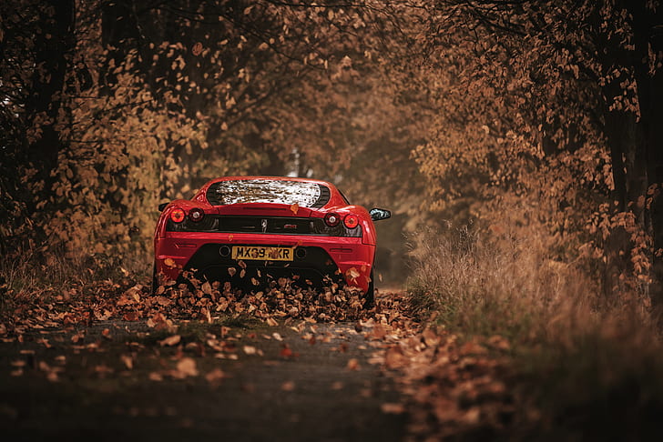 ferrari, scuderia, racing, red, rear view, autumn, HD wallpaper
