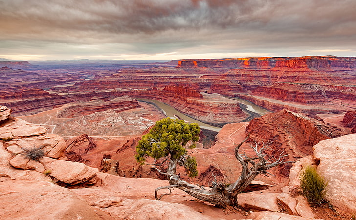 View of the Colorado River and Canyonlands..., Horseshoe Bend, HD wallpaper