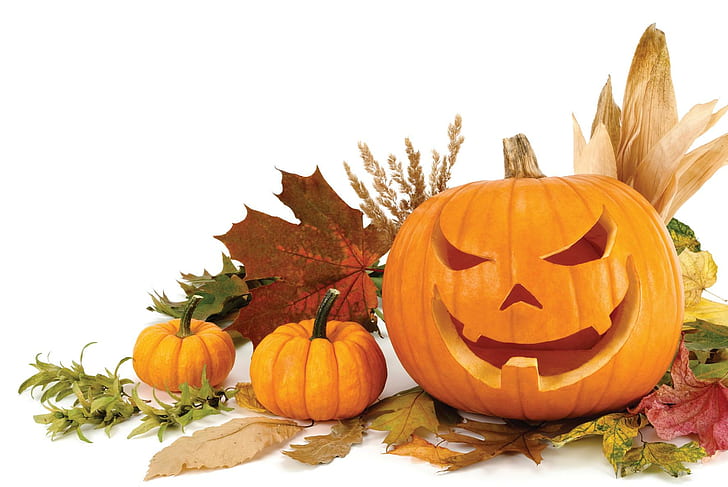 Autumn~Halloween, pumpkin, jack-o-lantern, gourds, fall, pumpkins, HD wallpaper