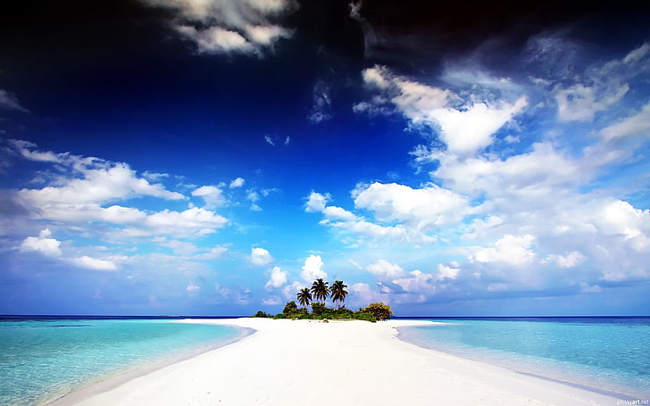clouds, island, palm trees, water, sand, tropical, tropic island