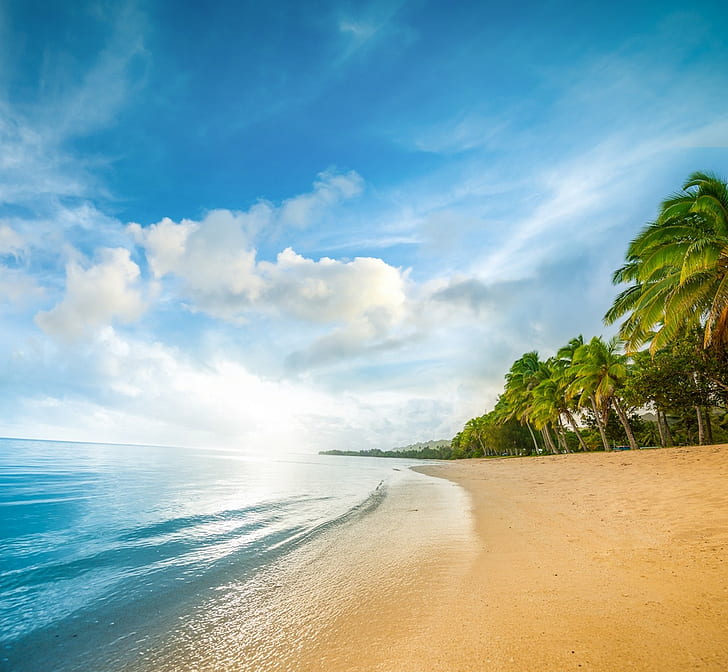 beach, sand, sea, palm trees, clouds, water, nature, landscape