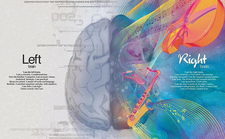HD wallpaper: creative, paint, science, brain, creativity, art, hemisphere  | Wallpaper Flare