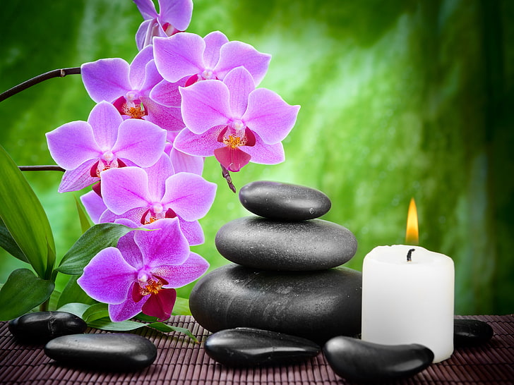 purple orchid flower and white candle, stones, candles, bamboo