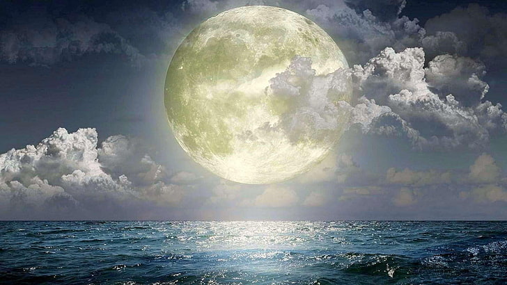 full moon, sea, cloudy, ocean, night sky, HD wallpaper
