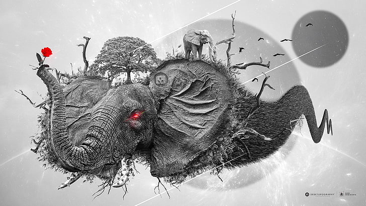 Desktopography, Baki Boquecosa, elephant, rose, nature, space