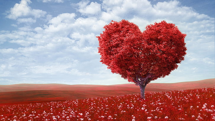 day, emotion, fields, flowers, heart, landscapes, leaves, love, HD wallpaper