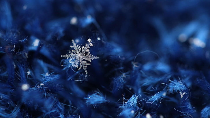 snowflake, blue, bluish, ice crystal, macro, close up, christmas