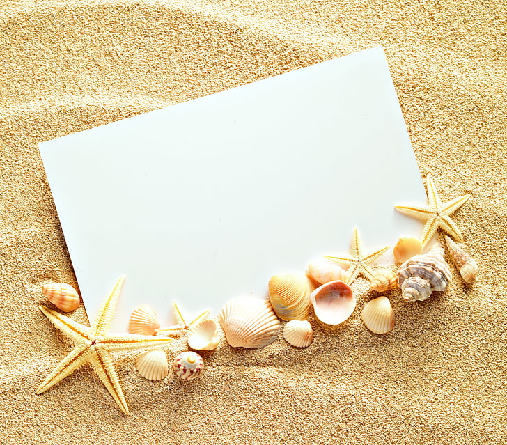 assorted shell lot, sand, texture, paper, seashells, starfishes, HD wallpaper