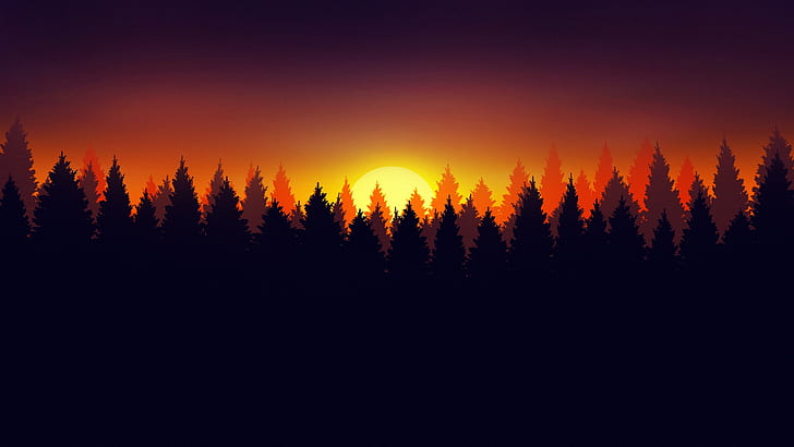 forest, nature, dark, Sun, artwork, HD wallpaper