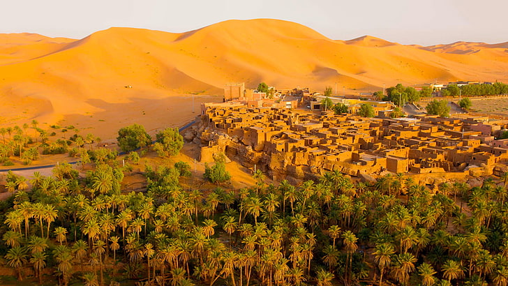 sand, the dunes, the city, palm trees, desert, home, Algeria, HD wallpaper