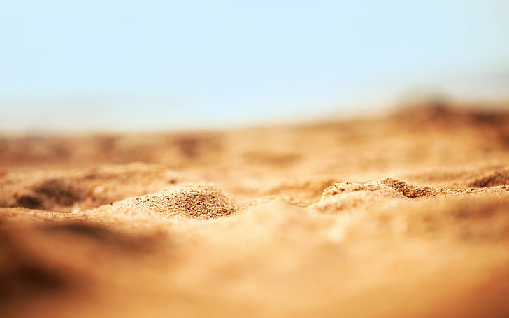 brown sands, selective focus photo of brown sand, macro, nature, HD wallpaper