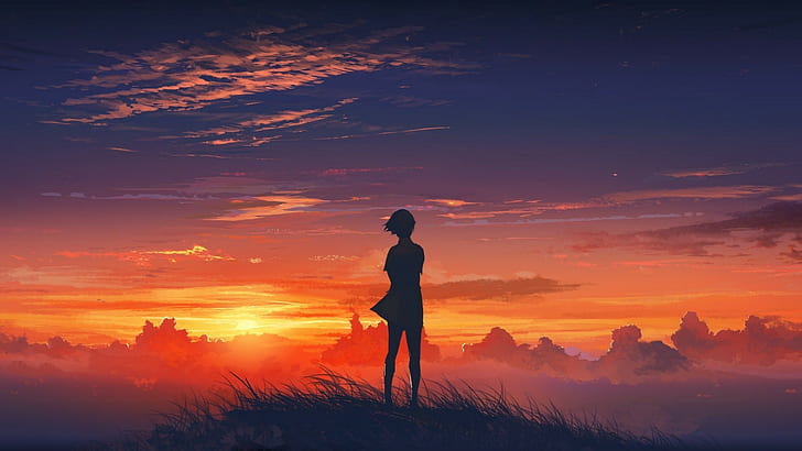 anime nature sunset sky der wanderer ber dem nebelmeer, one person, HD wallpaper