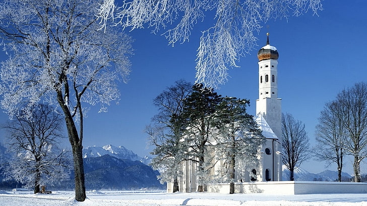 white and blue concrete building, church, snow, winter, tree