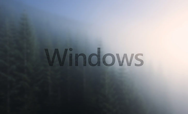 Microsoft Windows evergreen trees wallpaper, windows10, blurred, HD wallpaper