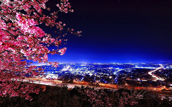 cherry blossom tree, landscape, Japan, building exterior, built structure, HD wallpaper