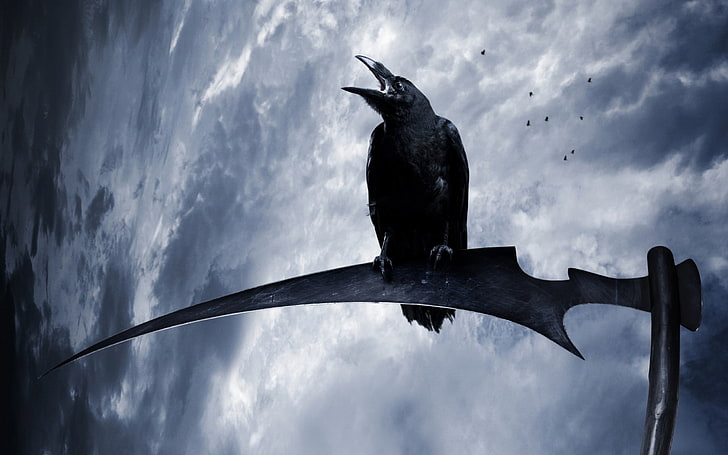 HD wallpaper: black crow, raven, animals, birds, scythe, fantasy art, animal  wildlife | Wallpaper Flare