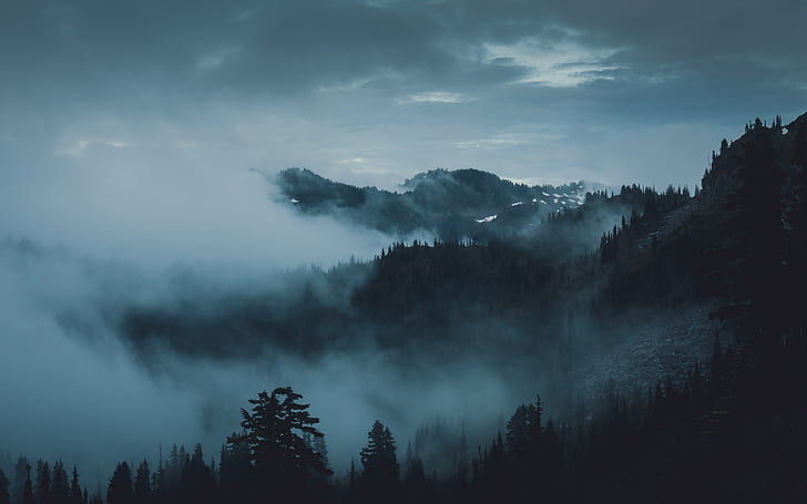 mountains, fog, trees, olympic national park, port angeles, HD wallpaper