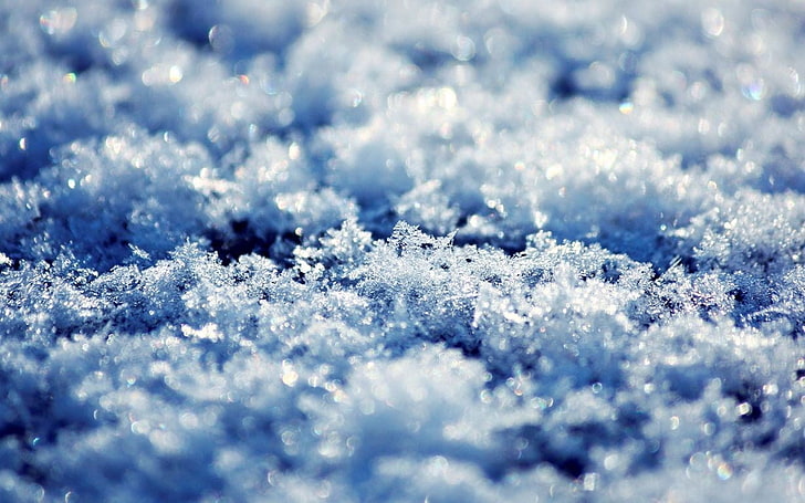 snowflake, frost, macro, nature, winter, christmas, backgrounds, HD wallpaper