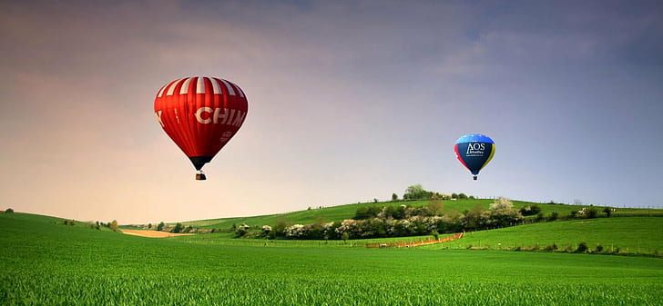 two blue and red hot air balloons above green grass and under blue skies during daytime, HD wallpaper