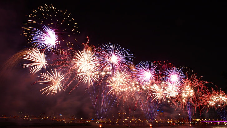 firework, explosive, july, night, fireworks, festival, celebration, HD wallpaper