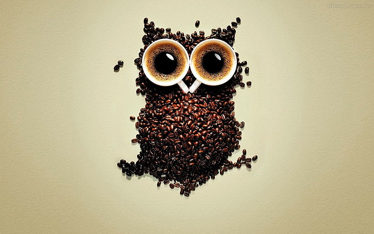 Coffee Owl, brown coffee bean owl illustration, Art And Creative, HD wallpaper