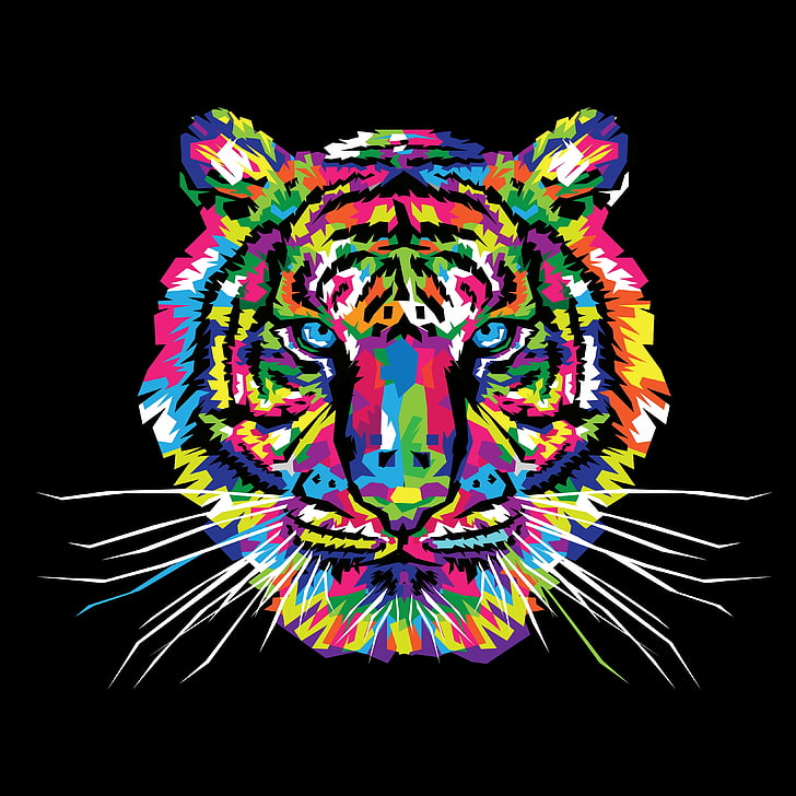 tiger pop art wallpaper, multicolored, ornament, vector, multi colored, HD wallpaper